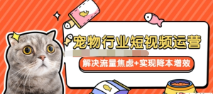 寵物/行業(yè)短視頻運營(yíng)流量增長(cháng)，解決流量焦慮+實(shí)現降本增效百度網(wǎng)盤(pán)插圖
