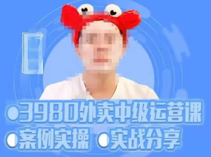 水獺會(huì )系統外賣(mài)運營(yíng)＋招商方案，案例實(shí)操分享百度網(wǎng)盤(pán)插圖