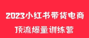 小紅書(shū)電商爆量訓練營(yíng)，養生花茶實(shí)戰篇，月入3W+百度網(wǎng)盤(pán)插圖