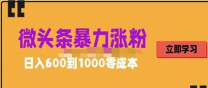 微頭條暴力漲粉技巧搬運文案就能漲幾萬(wàn)粉絲，0成本日賺600百度網(wǎng)盤(pán)插圖