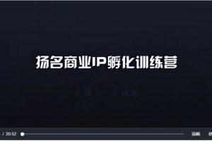 王揚名-商業(yè)IP訓練營(yíng)29集百度網(wǎng)盤(pán)插圖