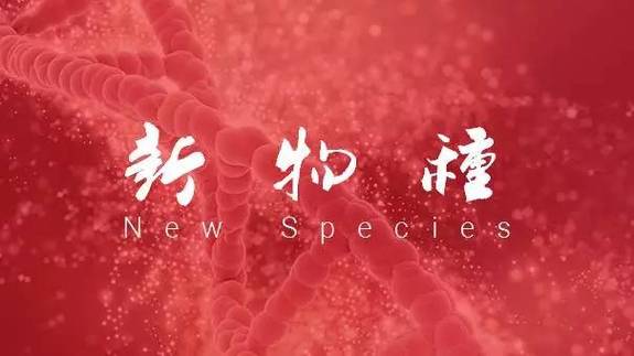 如何通過(guò)公眾號協(xié)作建立個(gè)人IP?插圖 如何通過(guò)公眾號協(xié)作建立個(gè)人IP?插圖