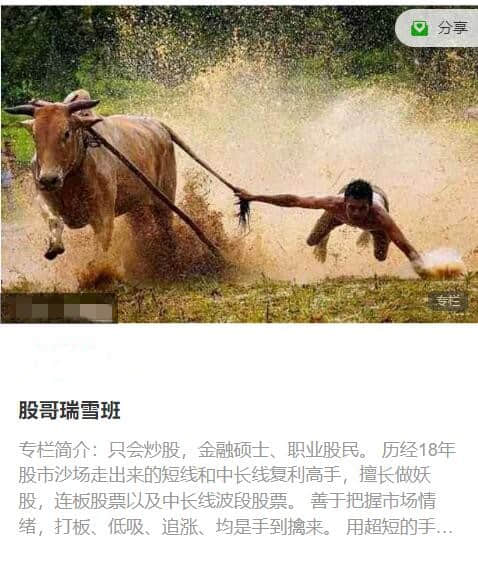 【股哥】只會(huì )炒股2023年11-12月 股哥瑞雪班視頻課程插圖
