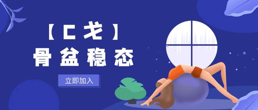 【C戈】骨盆穩態(tài)插圖
