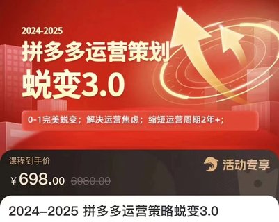 【電商上新】083.大力·2024-2025拼多多運營(yíng)策略蛻變3.0 0~1完美蛻變，解決信息焦慮