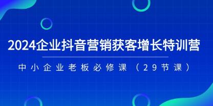 《企業(yè)抖音-營(yíng)銷(xiāo)獲客增長(cháng)特訓營(yíng)》中小企業(yè)老板必修課插圖