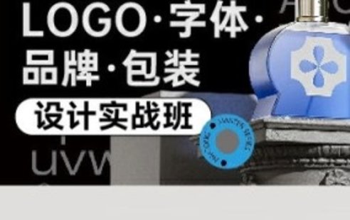 【設計上新】226. 盧帥logo字體品牌包裝設計實(shí)戰班第5期【畫(huà)質(zhì)不錯有大部分素材】