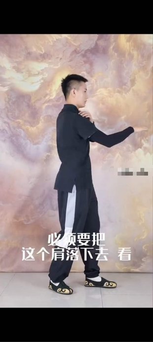 【易學(xué)上新】40. 法源 混元樁功教學(xué)｜大眾健身｜老幼皆宜｜13節