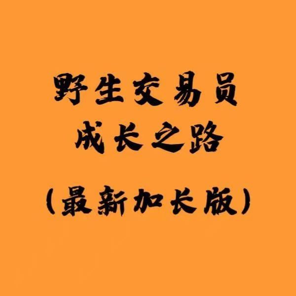 白儀野生交易員成長(cháng)之路加長(cháng)版資料PDF 2100多頁(yè)圖文干貨插圖