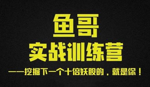 【魚(yú)哥】《魚(yú)哥實(shí)戰超短訓練營(yíng)視頻+講義》插圖