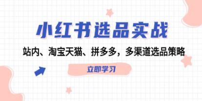《小紅書(shū)選品實(shí)戰》站內、淘寶天貓、拼多多，多渠道選品策略插圖